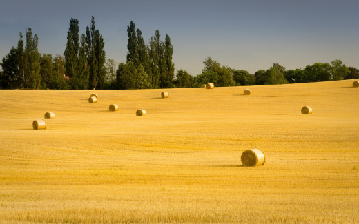 698874 (a): :1920x1200